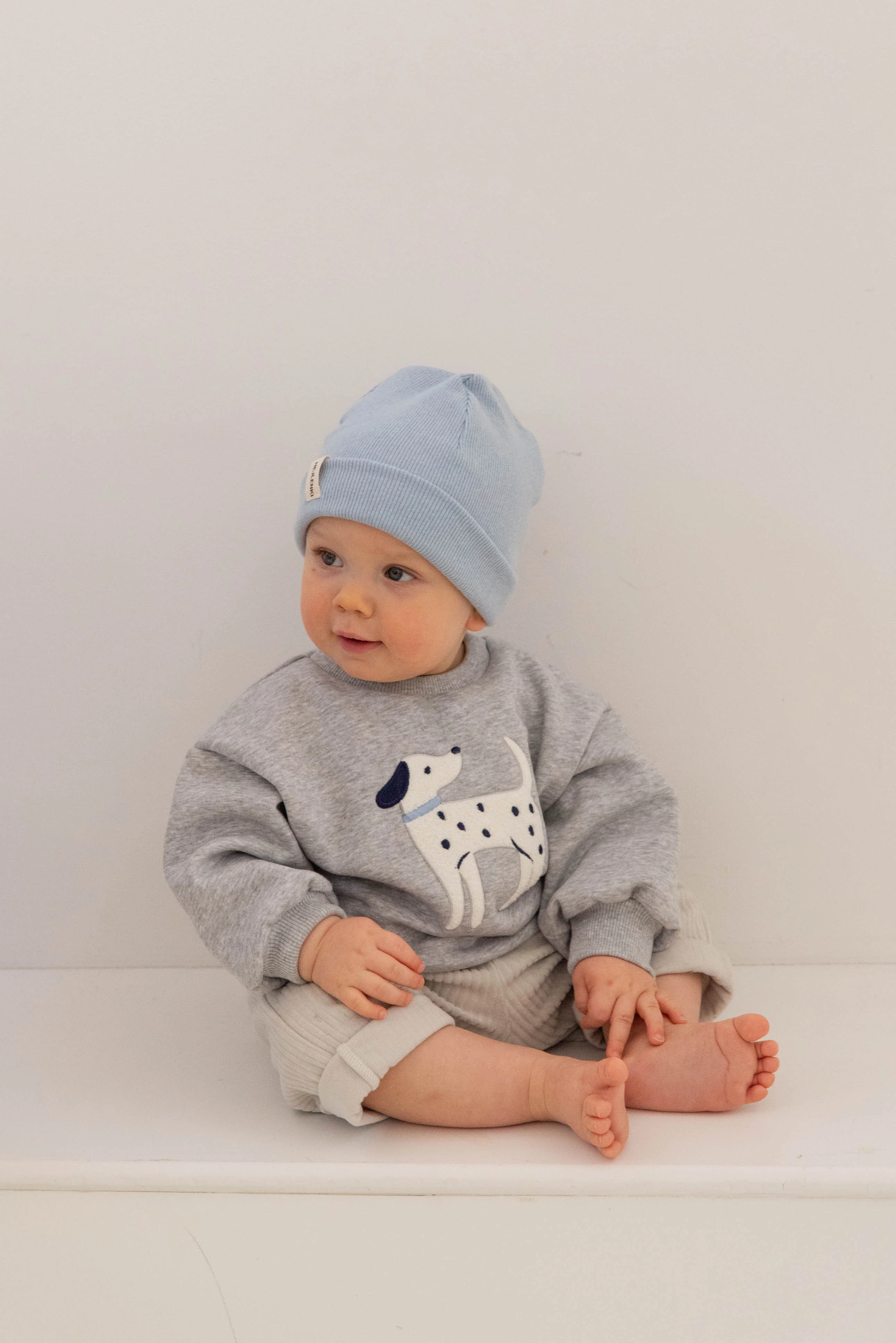 DALMATIAN SWEATER GREY MELANGE - Image 2