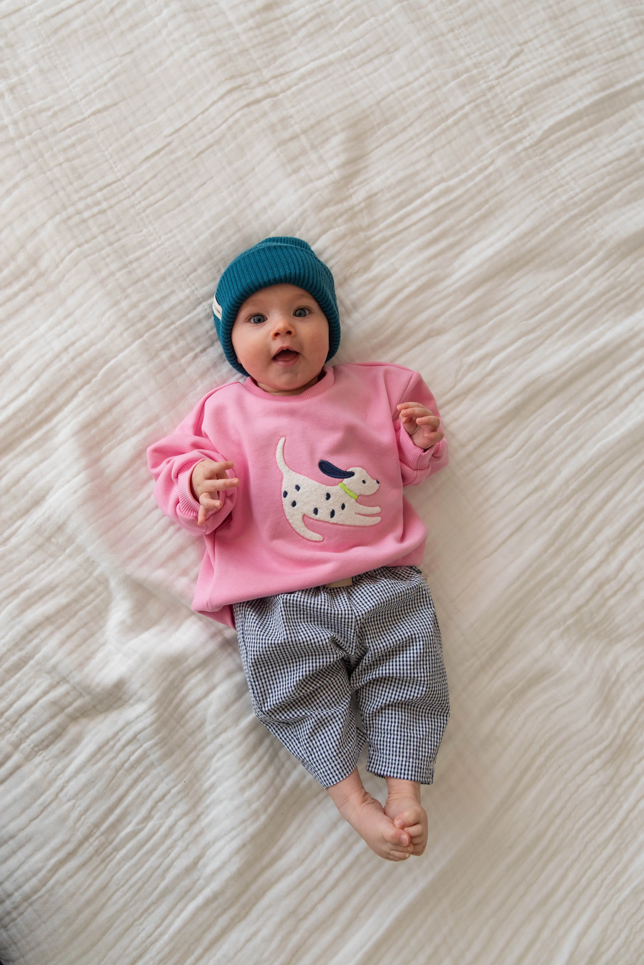 DALMATIAN SWEATER PINK - Image 3
