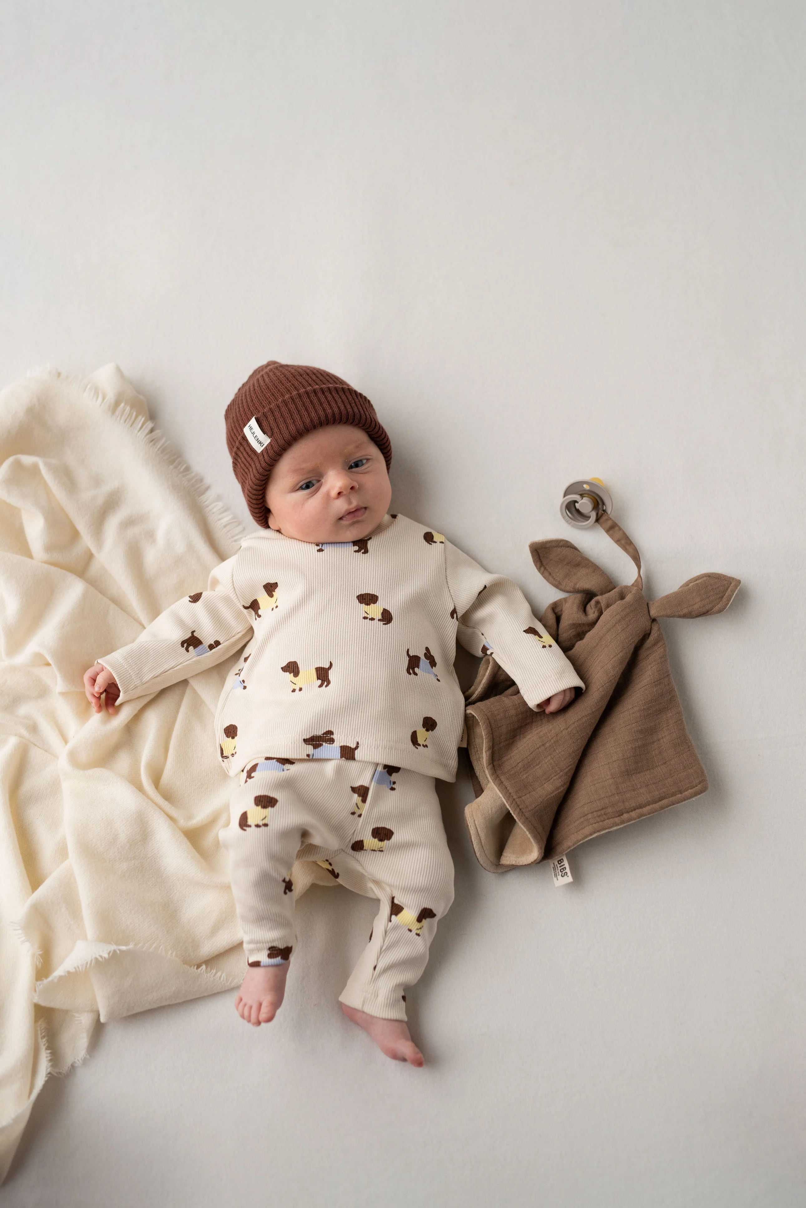 RIB LEGGING DACHSHUND - Image 2