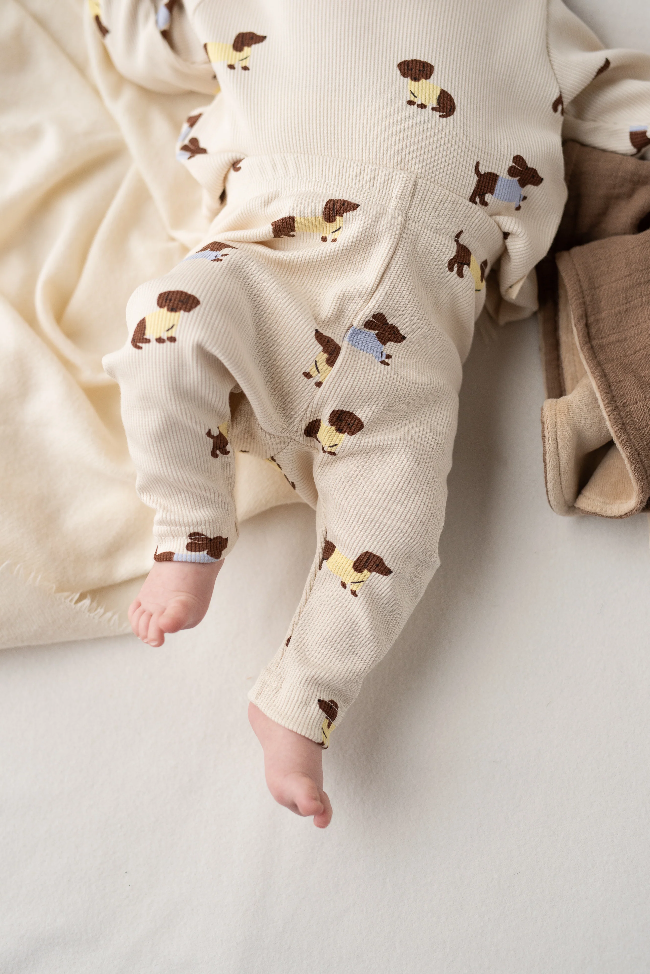 RIB LEGGING DACHSHUND - Image 3