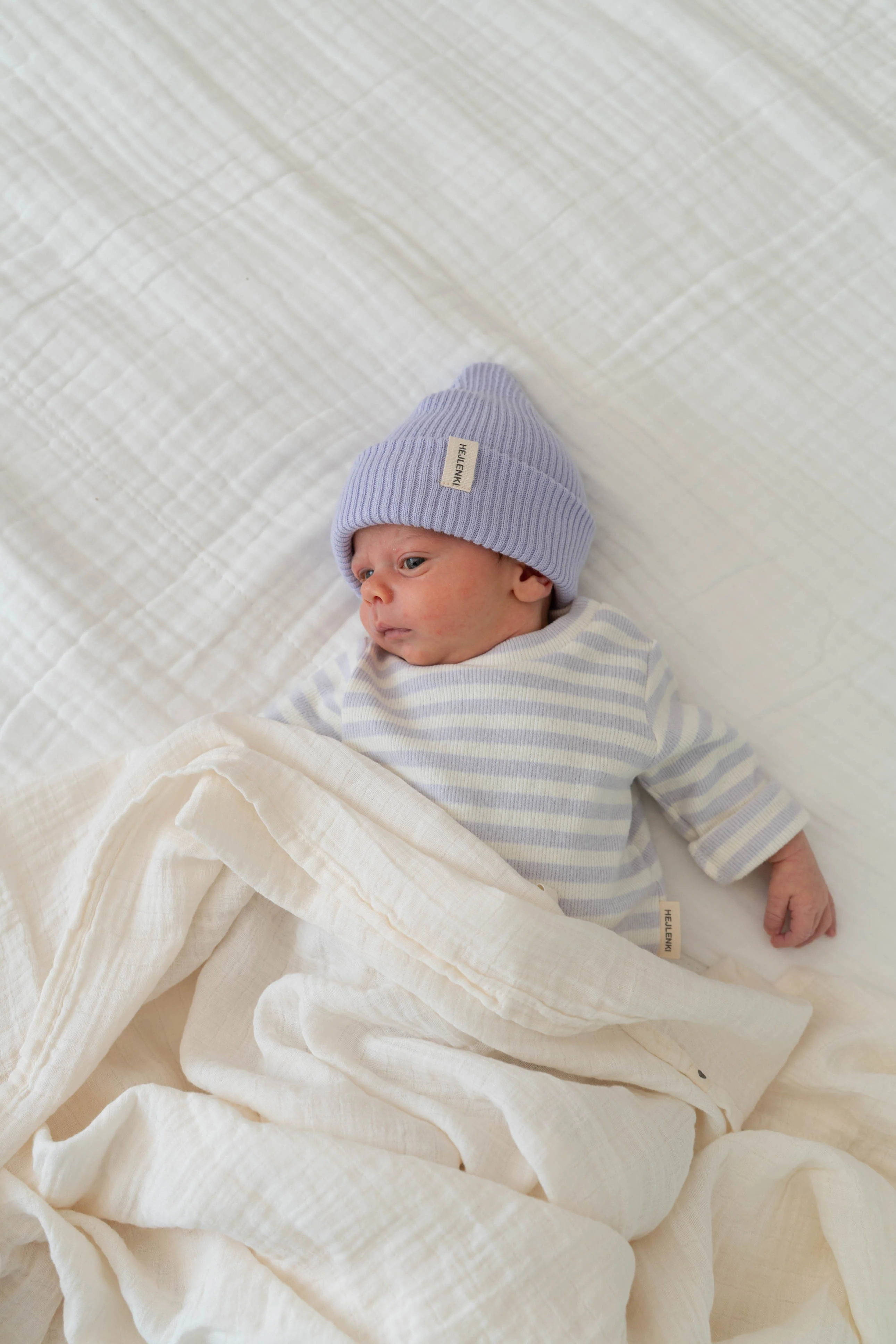SOFT RIB LONGSLEEVE STRIPED LAVENDER MILK - Image 2