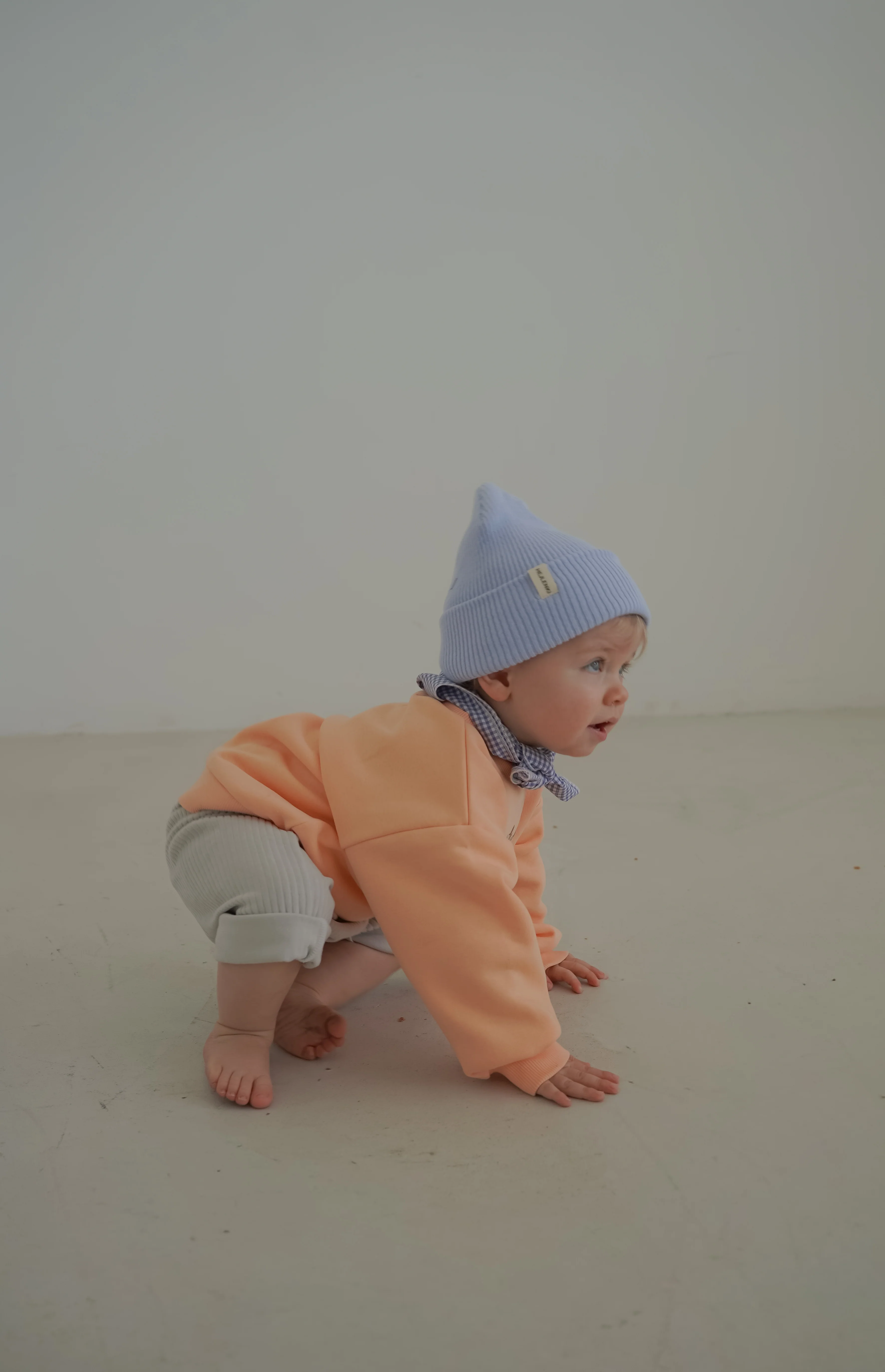 TINY DACHSHUND SWEATER APRICOT - Image 5